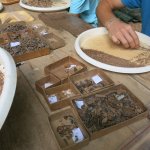 Attività di vaglio dei sedimenti - Foto M.Arzarello